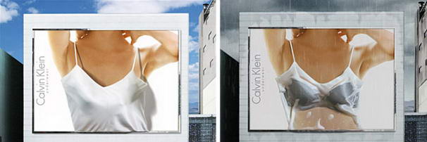 Calvin Klein Underwear(2)