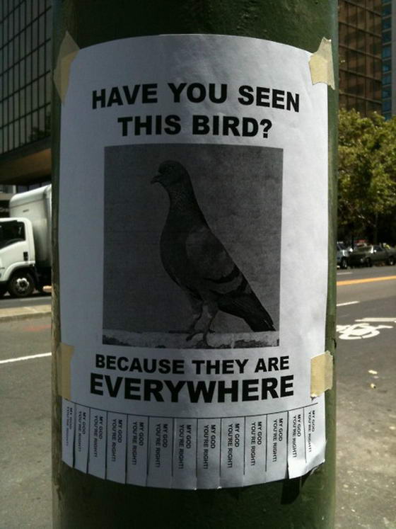 Have You Seen