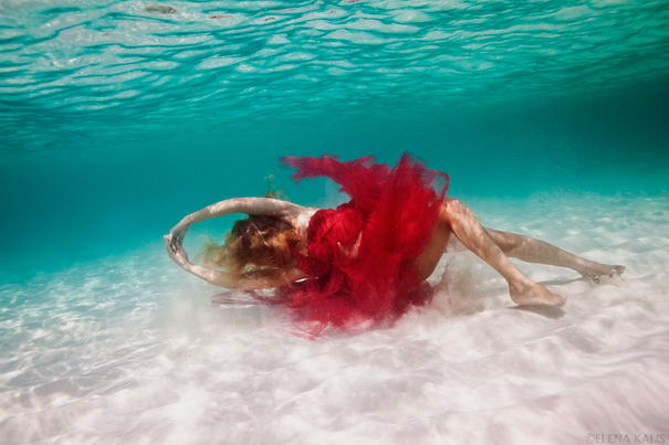 Underwater Photos By Elena Kalis