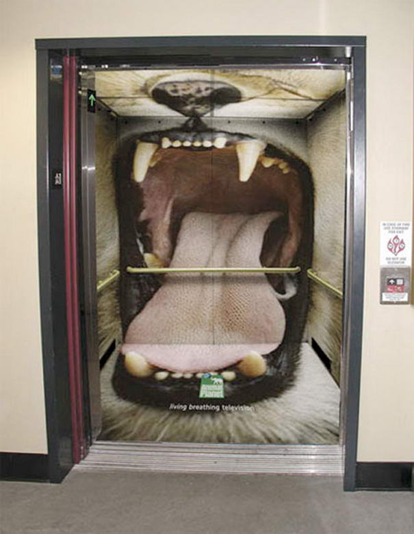 Elevator Advertisements Animal Planet