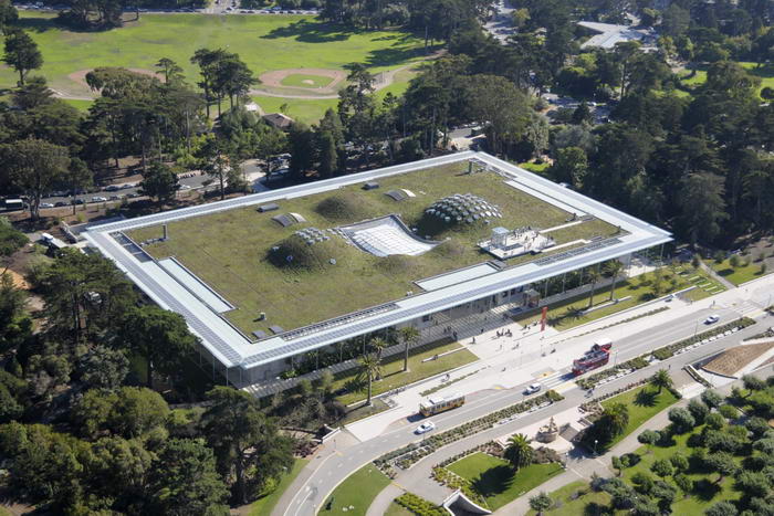 California Academy of Science
