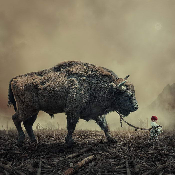 By Caras Ionut © (1)
