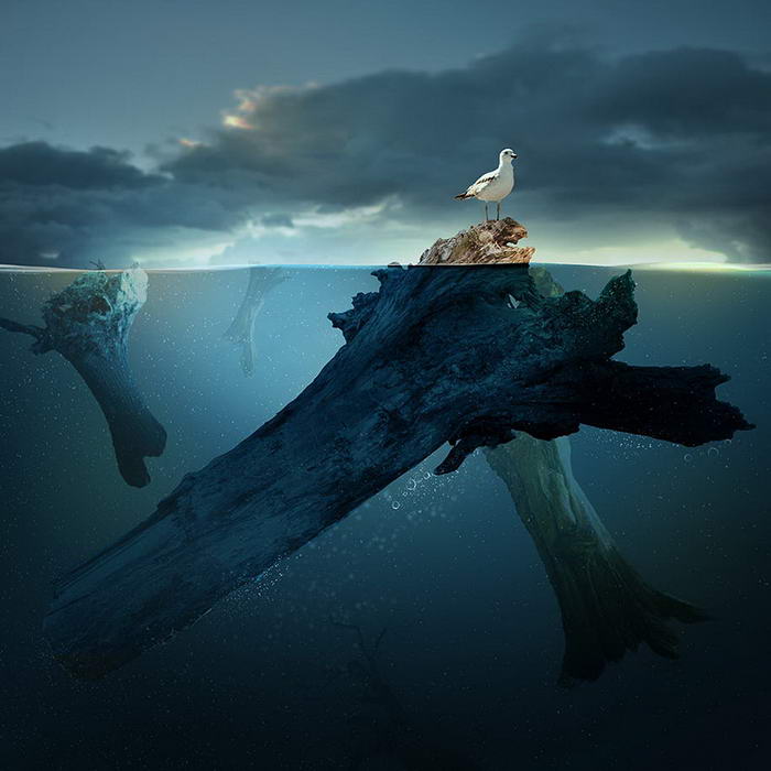 By Caras Ionut © (9)