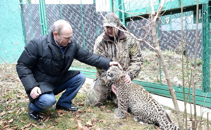 Visit to Persian Leopard