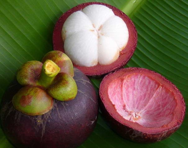 Mangosteen - Strangest Fruits