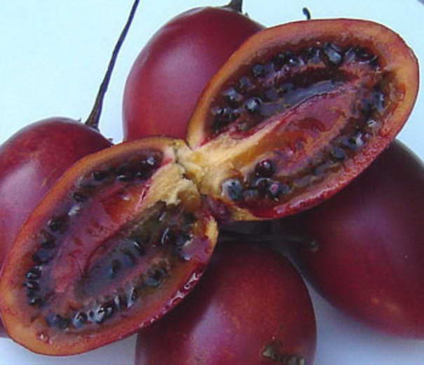 Tamarillo - Strangest Fruits