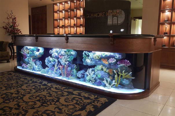 Reception aquarium