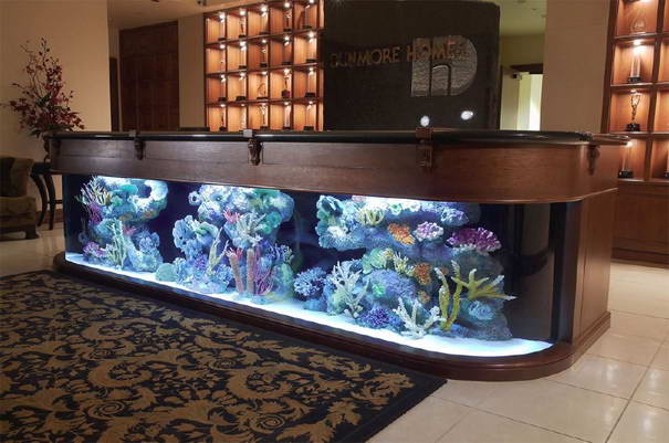 Reception aquarium Reception aquarium