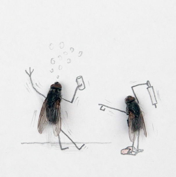 Drunk Dead Flies