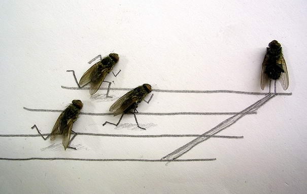 Sprint Sprint