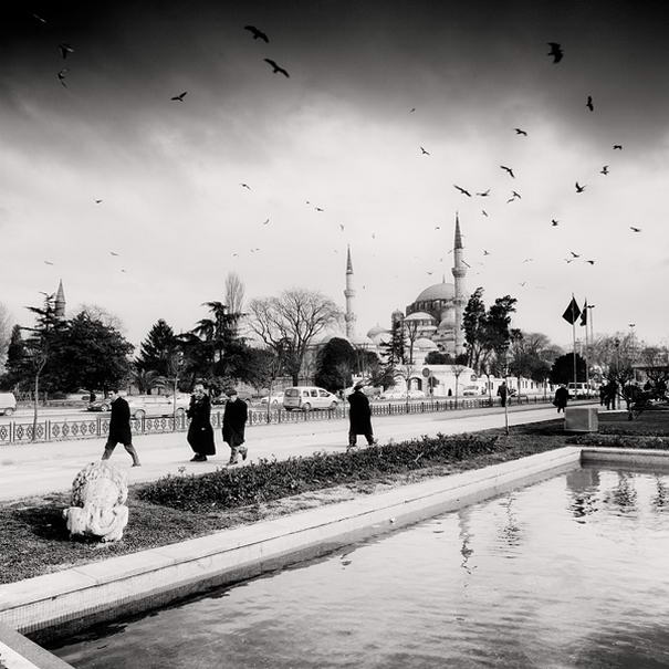 Birds and Mosque, Istanbul Impressive Photos