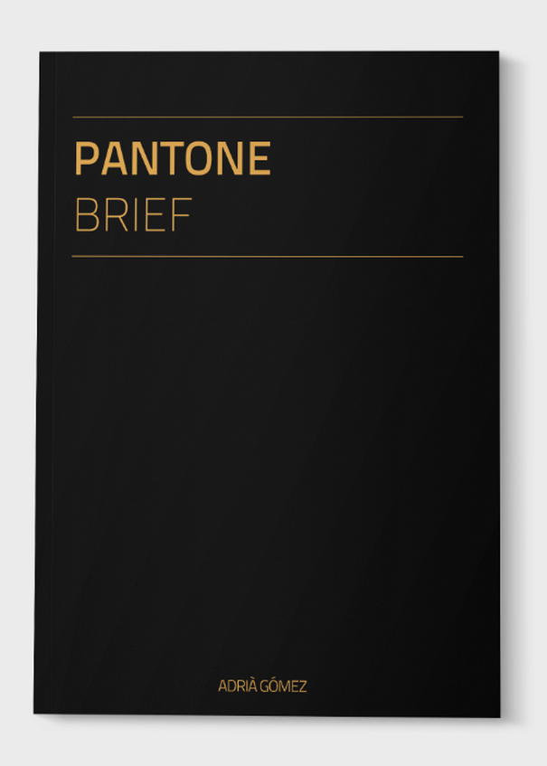 Pantone Brief (1) Pantone Brief (1)