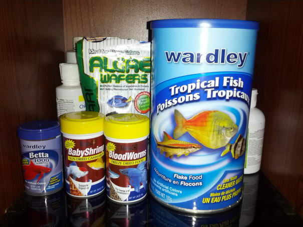 Fish Food Fish Food