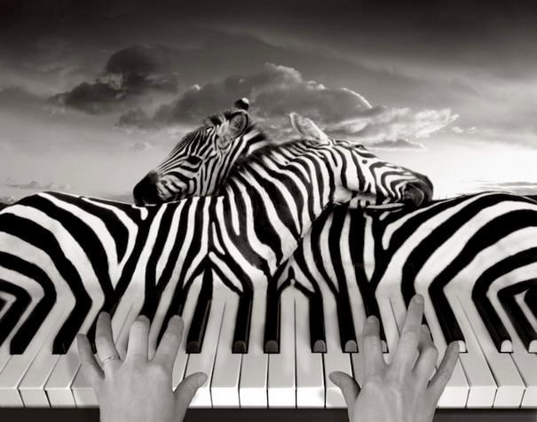 by thomas barbey-01