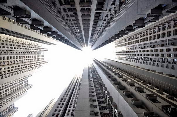 vertical horizon_10