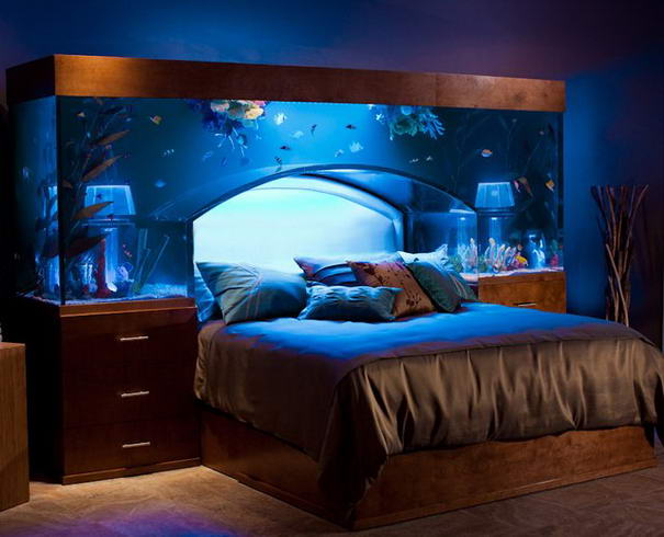 Headboard Design Aquarium headboard