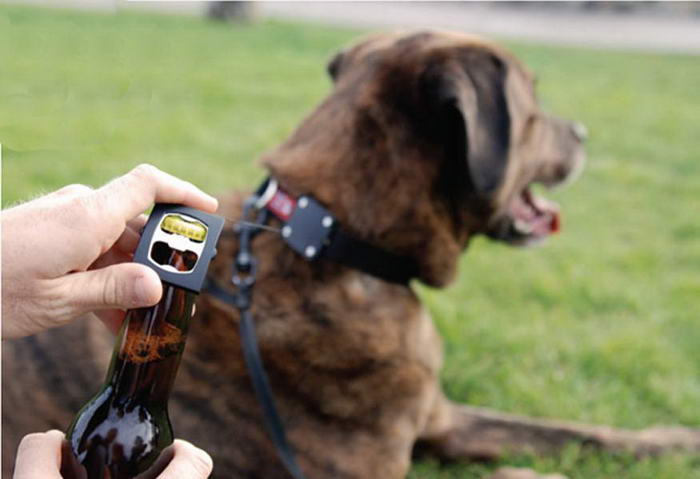 Dog Accessories Bark4Beer Dog Collar