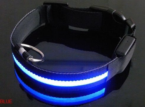 Dog Collar