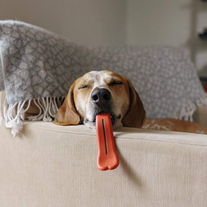 Giant Tongue Dog Chew Toy