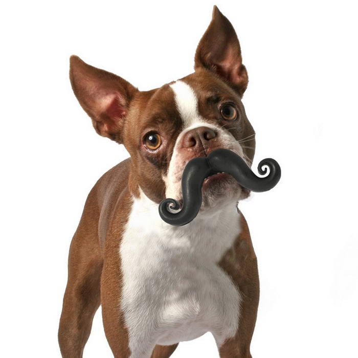 Humunga Stache Durable Dog Toy