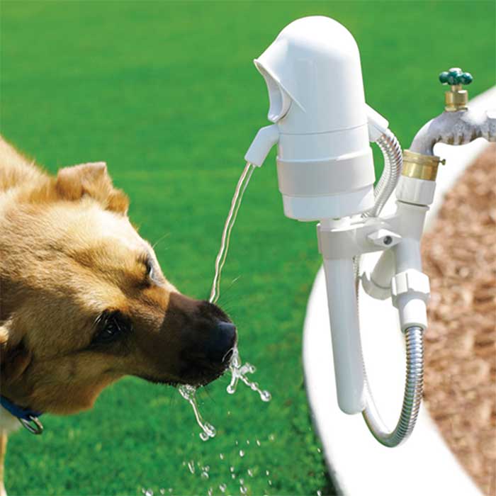 Outdoor Pet Drinking Fountain