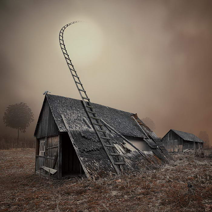 By Caras Ionut © (4)