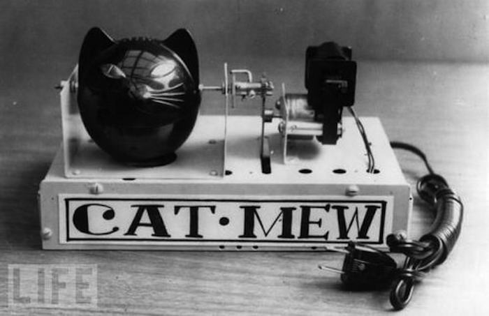 Cat-Mew Machine - Ridiculous Inventions