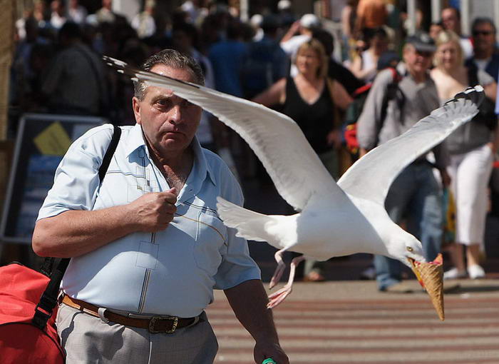 By Jorn Kessels - Perfectly Timed Photos