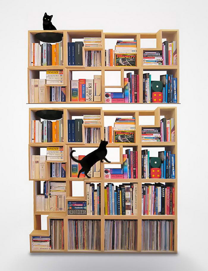 Cat-Library (1)