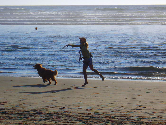 by Merelymel13 - Dog-Friendly Beaches