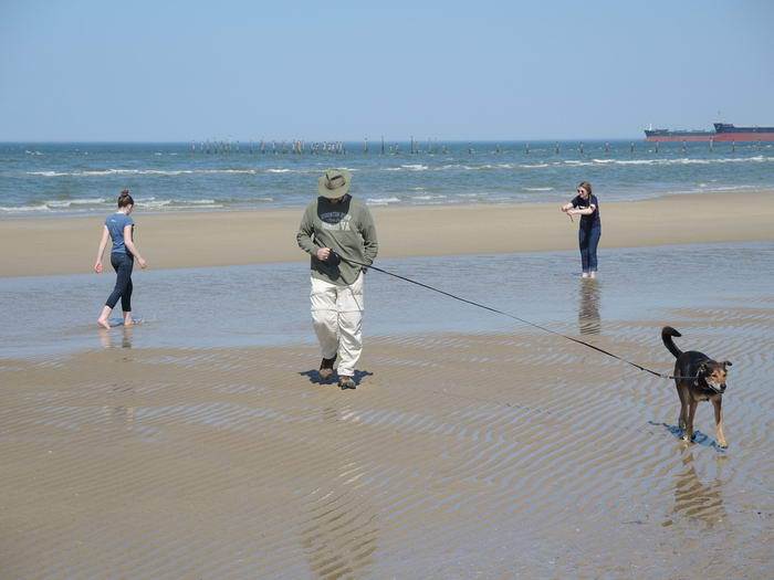 by vastateparksstaff - Dog-Friendly Beaches