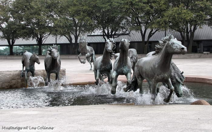 Mustangs