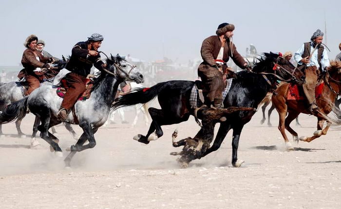 Buzkashi