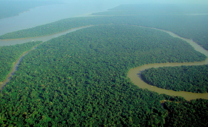 Amazon Rainforest - Latin American Places
