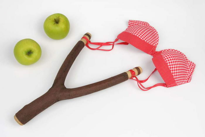 Apple Slingshot - Martin Roller