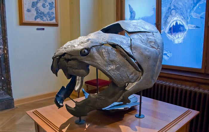 Dunkleosteus