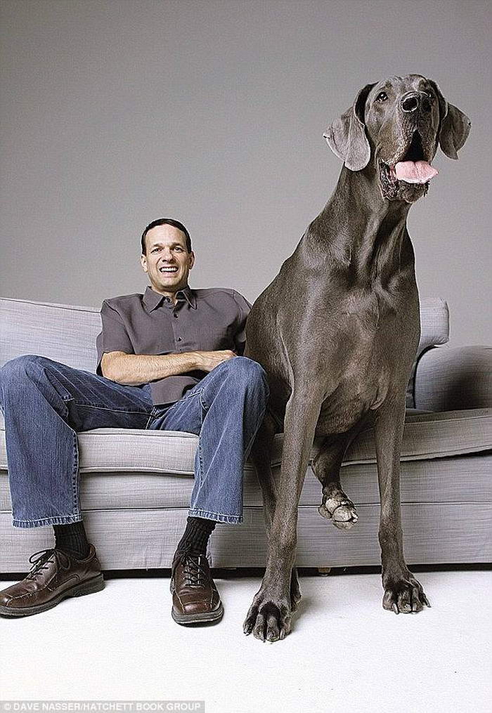 Giant George - Most Popular Pets