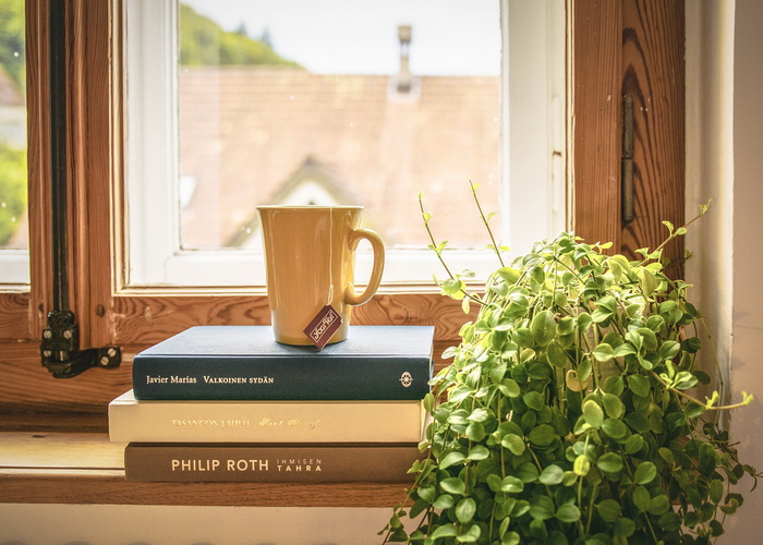 Houseplants