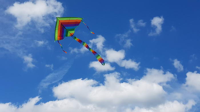 Kite Flying - Bizarre Sports