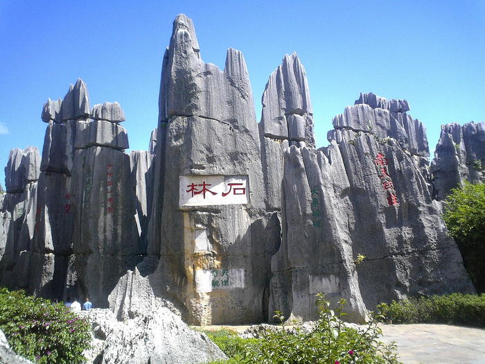 Stone Forest - Geological Formations
