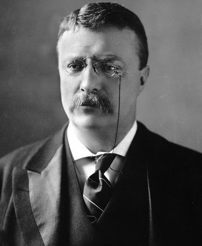 Teddy Roosevelt - Bram Stoker Facts