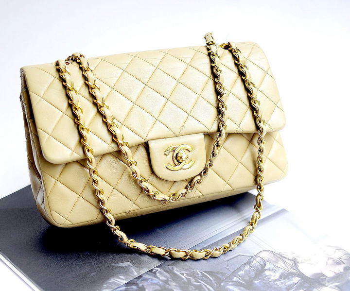 The Chanel Bag