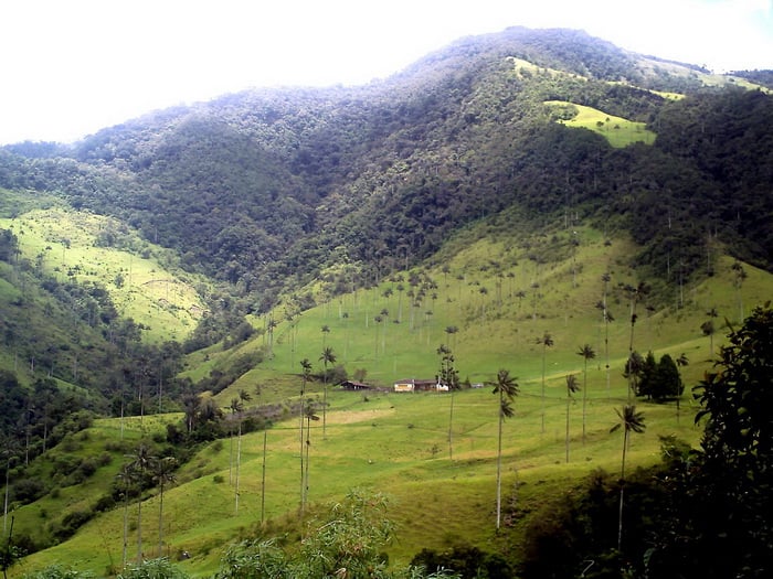 Zona Cafetera